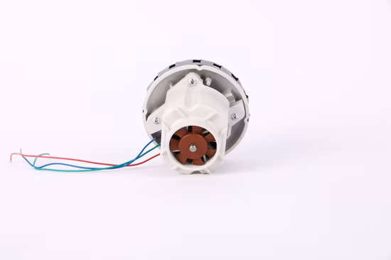 12V 1200W portátil de alta velocidade BLDC / motor de aspirador de pó DC sem escova / máquina de varrer / varrer carros / veículo de pulverização / purificador de piso